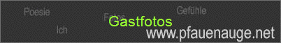 Gastfotos