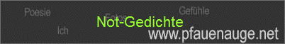 Not-Gedichte 
