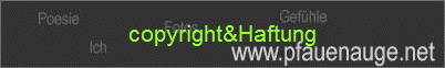 copyright&Haftung