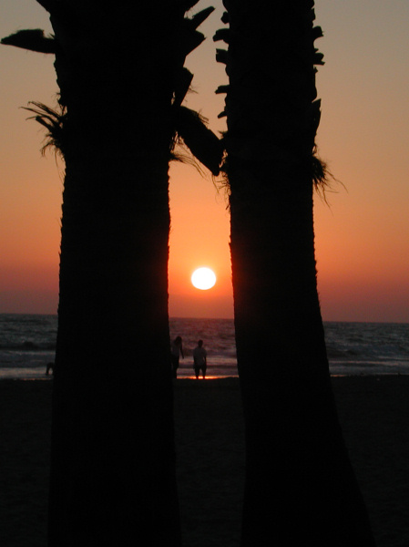 NewportBeach