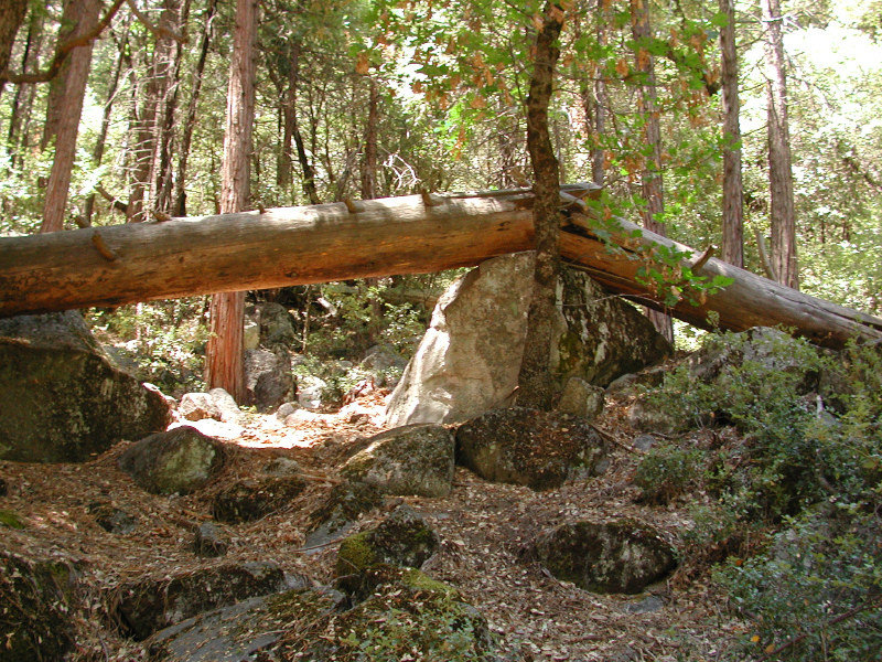 Gebrochen